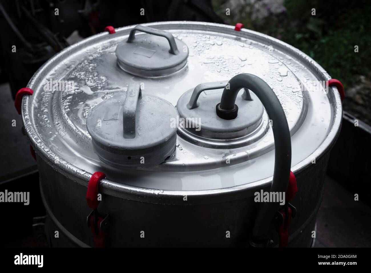 Tappi a vite grigi su lattina in acciaio inox con rugiada mattutina durante il riempimento con latte fresco, Ackernalm, Tirolo, Austria Foto Stock