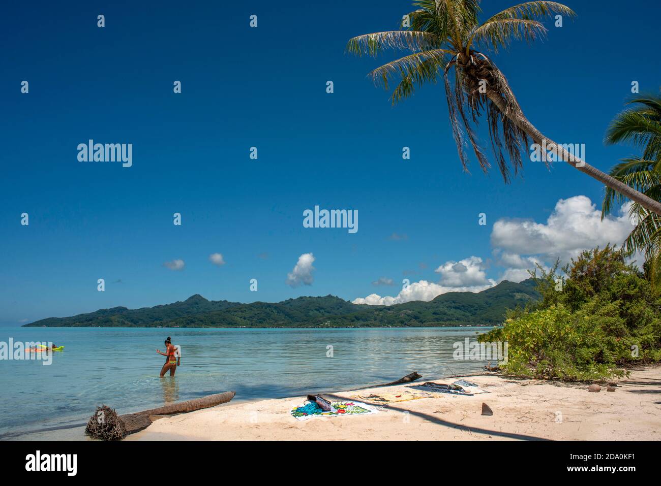 Paradiso tropicale mare paesaggio dell'isola di Tahaa'a, Polinesia francese. Le palme di Motu Mahana sulla spiaggia, Taha'a, Isole della Società, Polinesia Francese, Foto Stock
