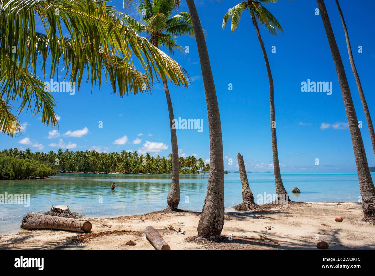 Paradiso tropicale mare paesaggio dell'isola di Tahaa'a, Polinesia francese. Le palme di Motu Mahana sulla spiaggia, Taha'a, Isole della Società, Polinesia Francese, Foto Stock
