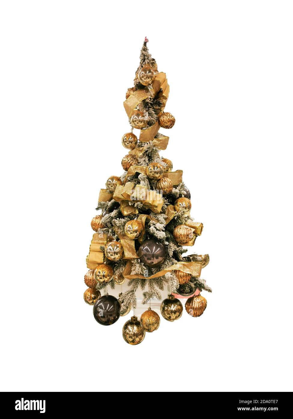 Albero di pino di Natale nella hall Foto Stock