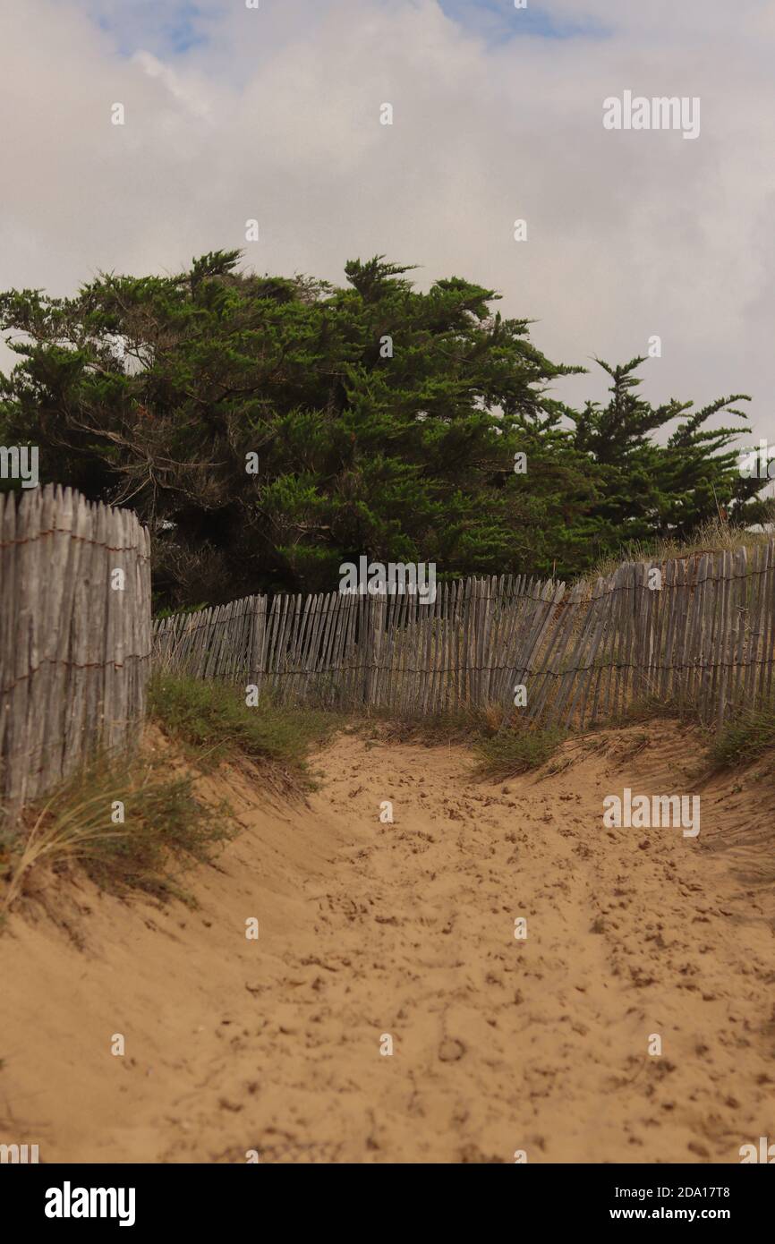 plage vicino alla foresta. Dipartimento Vandea in Francia Foto Stock