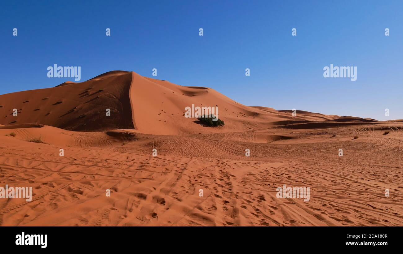 Enorme duna di sabbia ben formata con tracce viste dal basso in Erg Chebbi vicino a Merzouga, Marocco, Africa in giornata di sole con cielo blu. Foto Stock