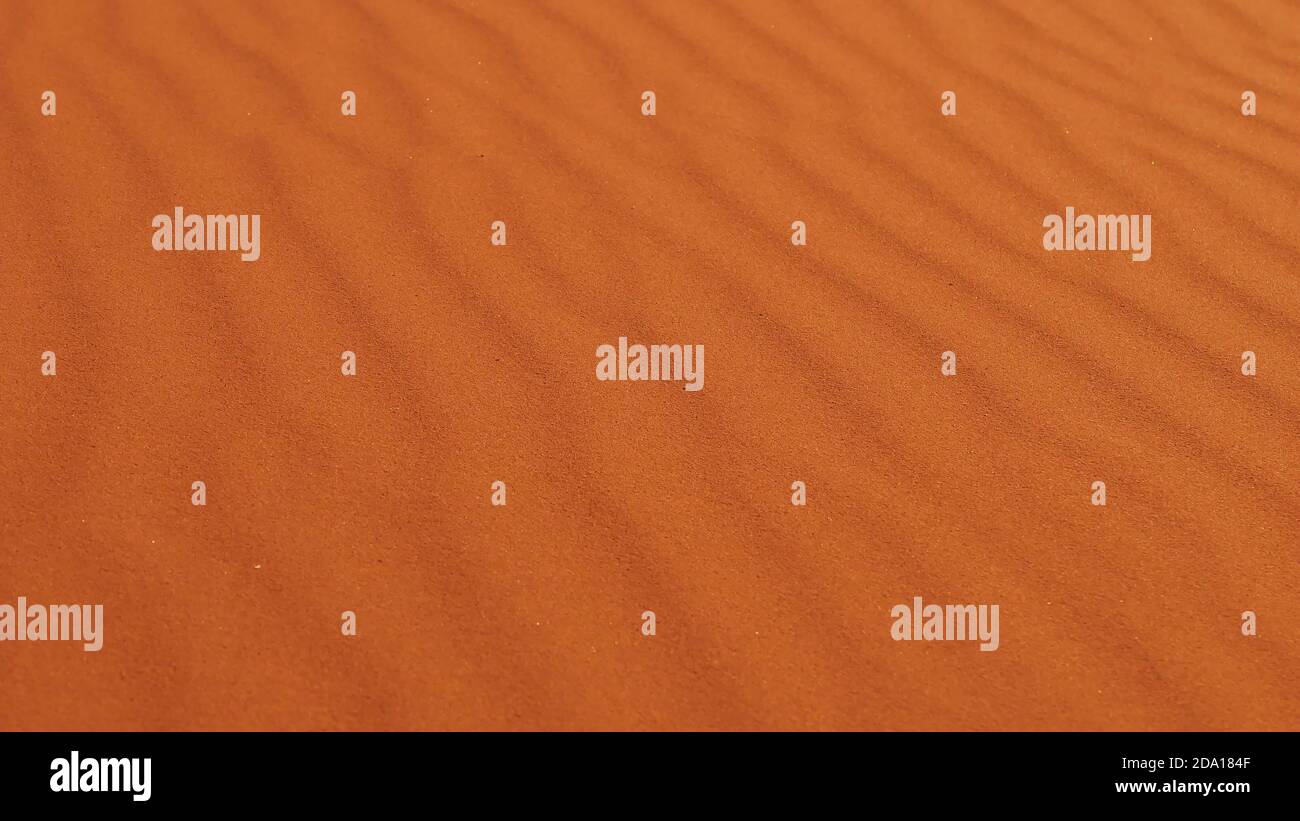 Modello e struttura su una duna di sabbia formata dal vento soffiato nel deserto di Erg Chebbi vicino a Merzouga, Marocco, Africa. Mettere a fuoco il centro dell'immagine. Foto Stock