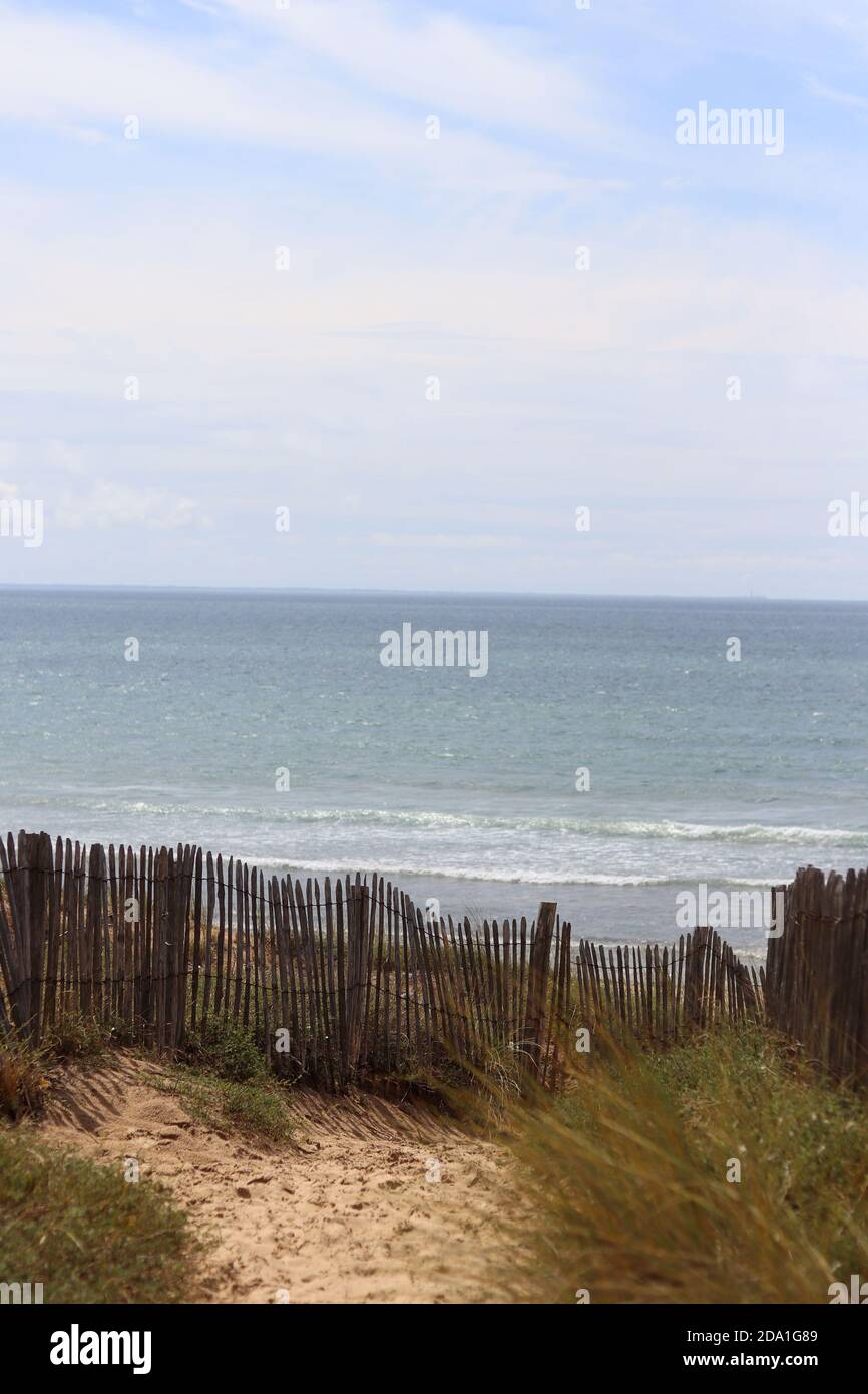 plage vicino alla foresta. Dipartimento Vandea in Francia Foto Stock