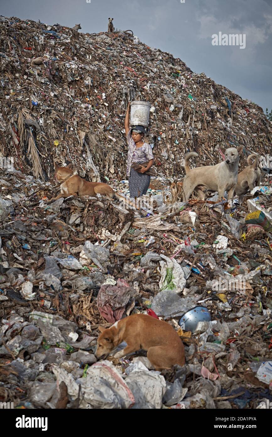 Mae Sot, Thailandia. Aprile 2012. Una donna, rifugiata dal Myanmar, circondata da cani randagi su una montagna di rifiuti nella discarica della città. Foto Stock