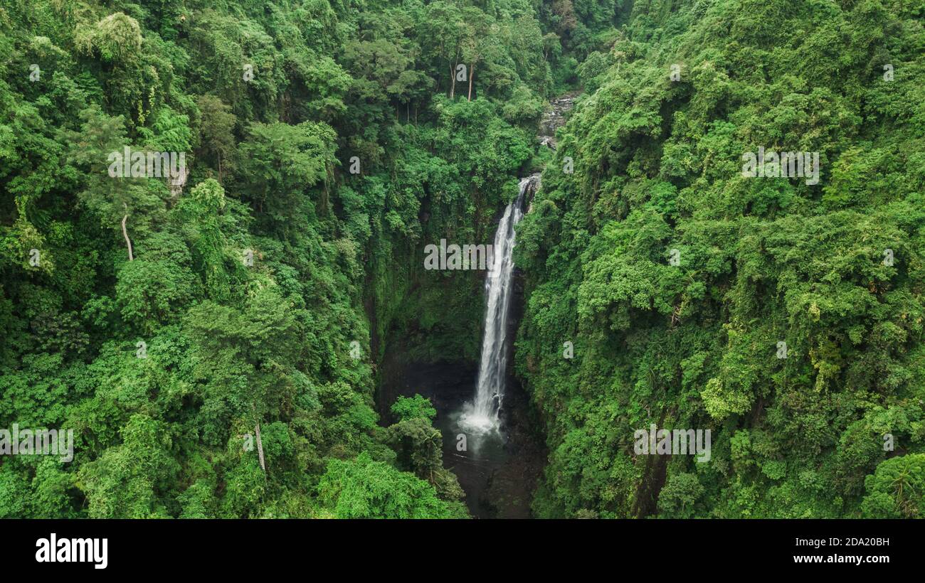 Vista aerea del drone della grande cascata nascosta nella foresta pluviale della giungla. Natura selvaggia incontaminata, sfondo verde. Bali, Indonesia Foto Stock