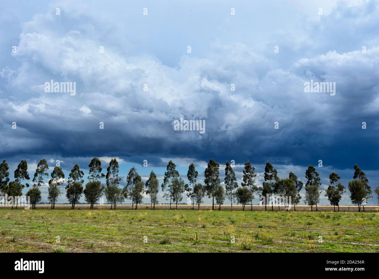 Forte tempesta portata dal fenomeno meteorologico di la Niña, Bowenville vicino a Dalby, Queensland, QLD, Australia Foto Stock