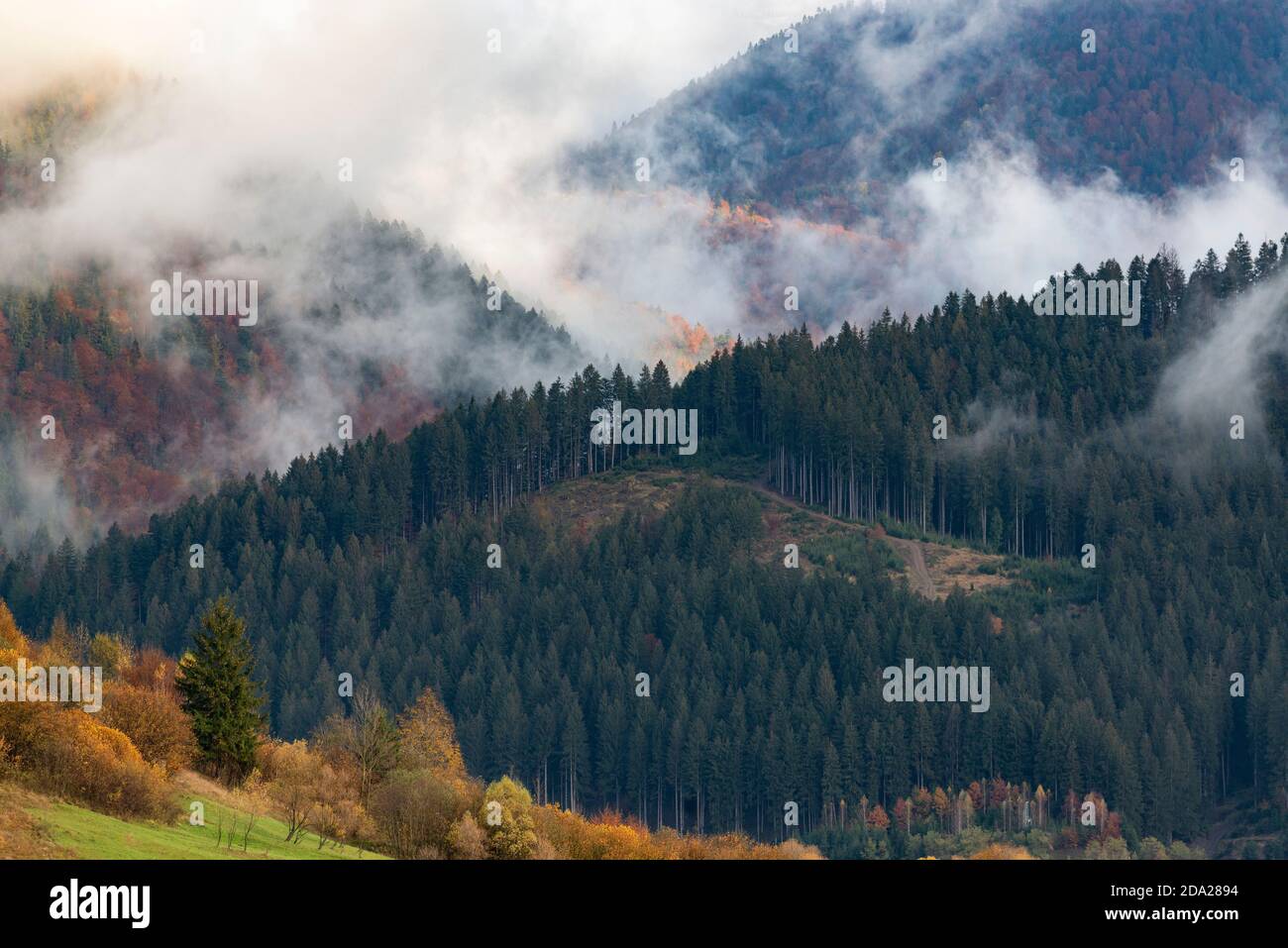 Bella mattina d'autunno nelle montagne d'autunno con nebbia e. nuvole che sorgono dalle colline Foto Stock