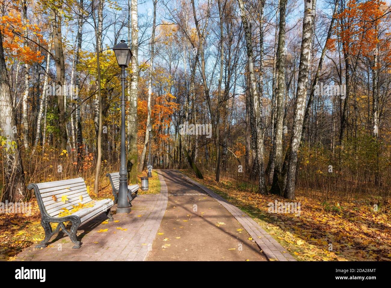 Vicolo romantico d'autunno con alberi colorati Foto Stock