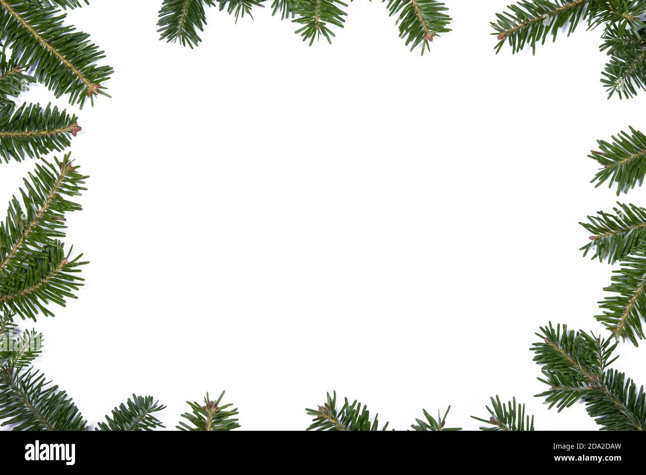 Abete naturale albero di Natale di telaio di frontiera isolati su bianco , copia spazio per il testo Foto Stock