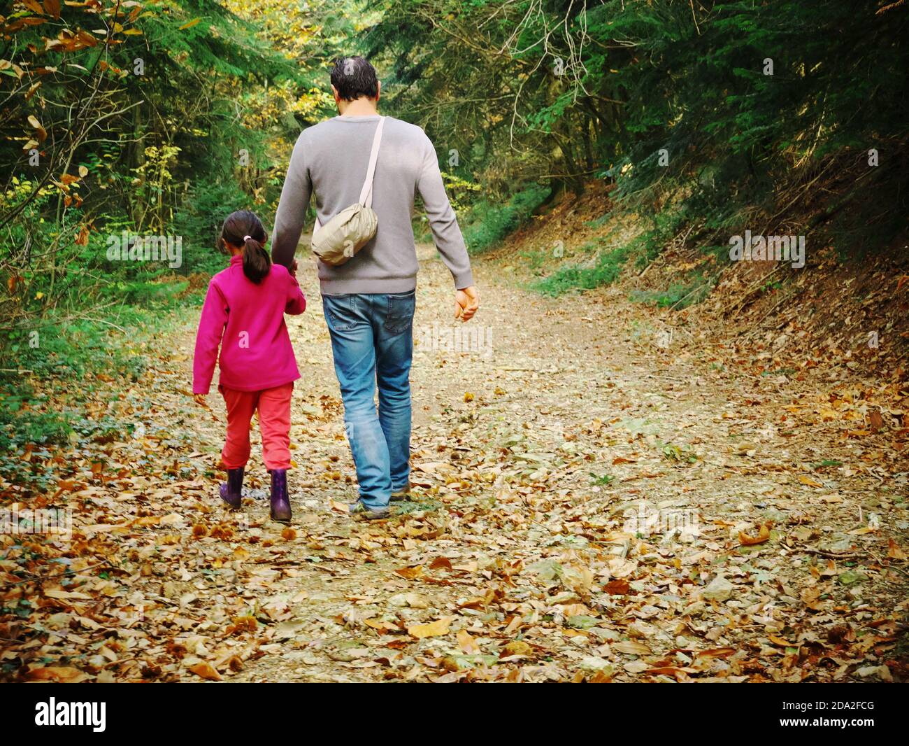 Foto di un padre e di una figlia visti da dietro, facendo una passeggiata nella foresta tenendo le mani Foto Stock