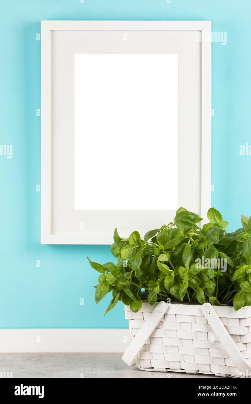 Cornice verticale con formato 2x3 opaco su mockup a parete blu. Cesto bianco con pianta di basilico davanti. Area dell'immagine mascherata dal tracciato di ritaglio Foto Stock
