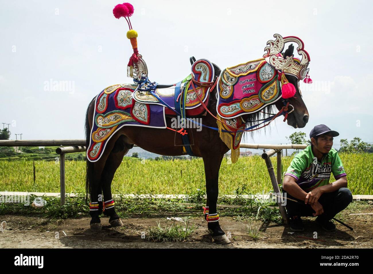 Handler è visto accanto al suo cavallo da ballo mentre attende il suo turno per mostrare le sue abilità durante la processione a Tanjungsari. Il cavallo da ballo, conosciuto anche come "Kuda Renggong", è una delle arti dello spettacolo e della cultura folk di Sumedang. La parola 'Roggong' deriva dalla parola ('ronggeng' o 'kamonesan' nella lingua locale Sundanese) che significa abilità. Il Cavallo è stato addestrato con le abilità di ballare alla musica di accompagnamento, particolarmente la batteria, che è usata solitamente come corsa di mezzi nella processione della circoncisione dei bambini. Foto Stock