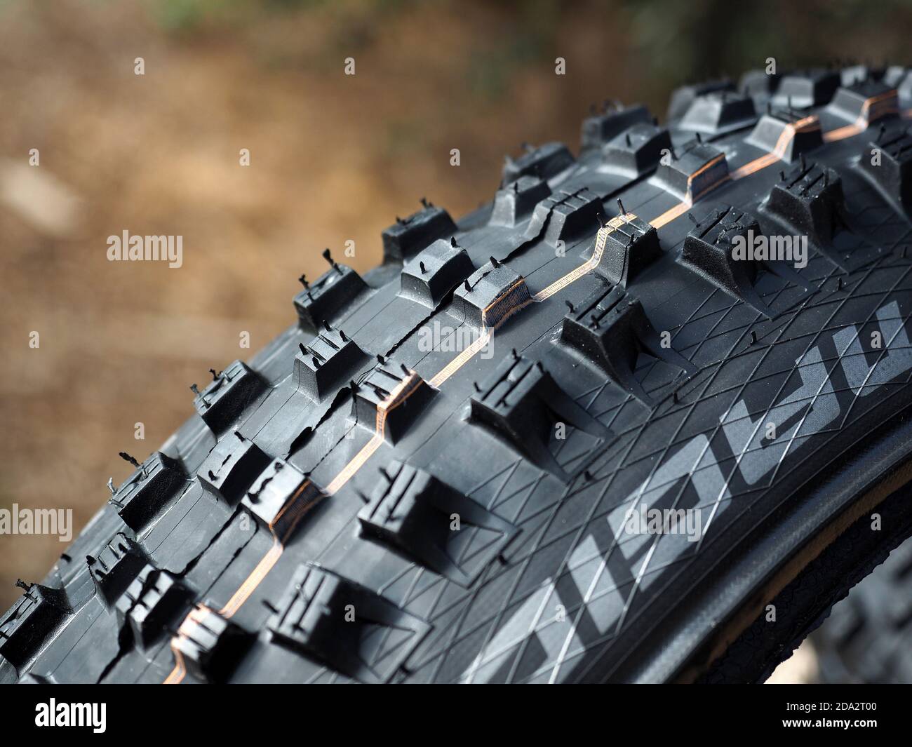 Schwalbe Magic Mary Evolution ADDIX Soft Super Trail 29' pneumatico pieghevole. Ripresa macro parzialmente sfocata. Foto Stock