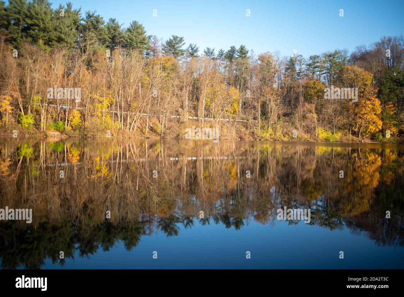 Riflesso simmetrico dei boschi autunnali su un lago tranquillo Foto Stock