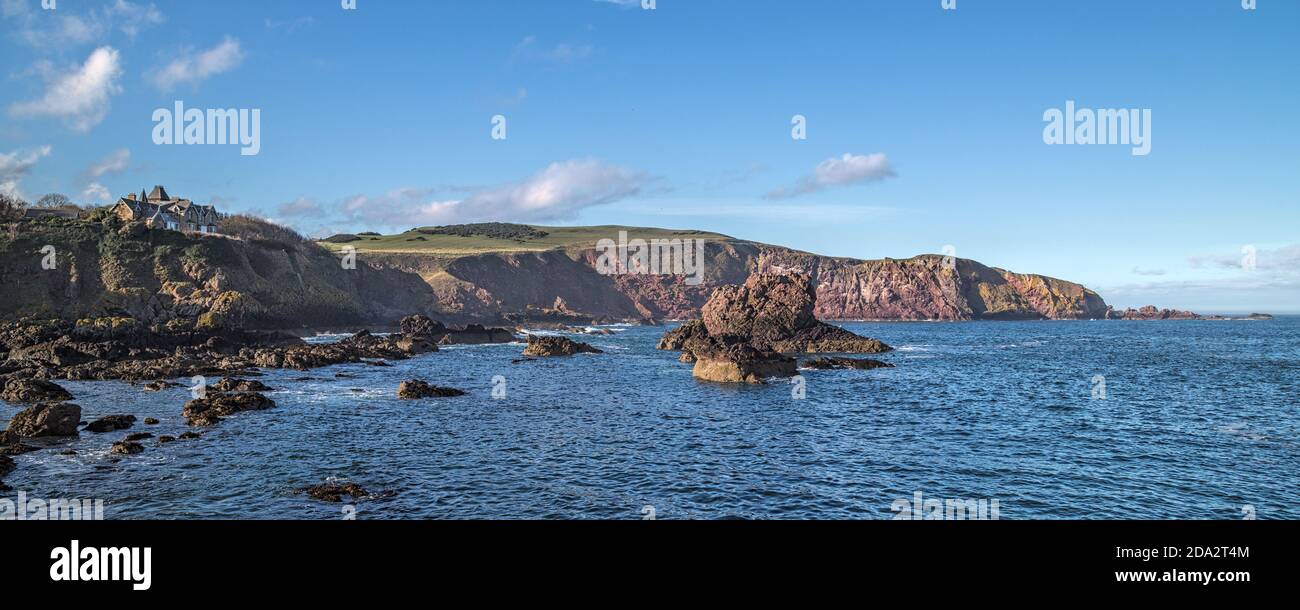 Panorama della spettacolare costa di St ABB's Head, Berwickshire, ai confini scozzesi, Scozia, preso dalle mura del porto di St Abbs Foto Stock