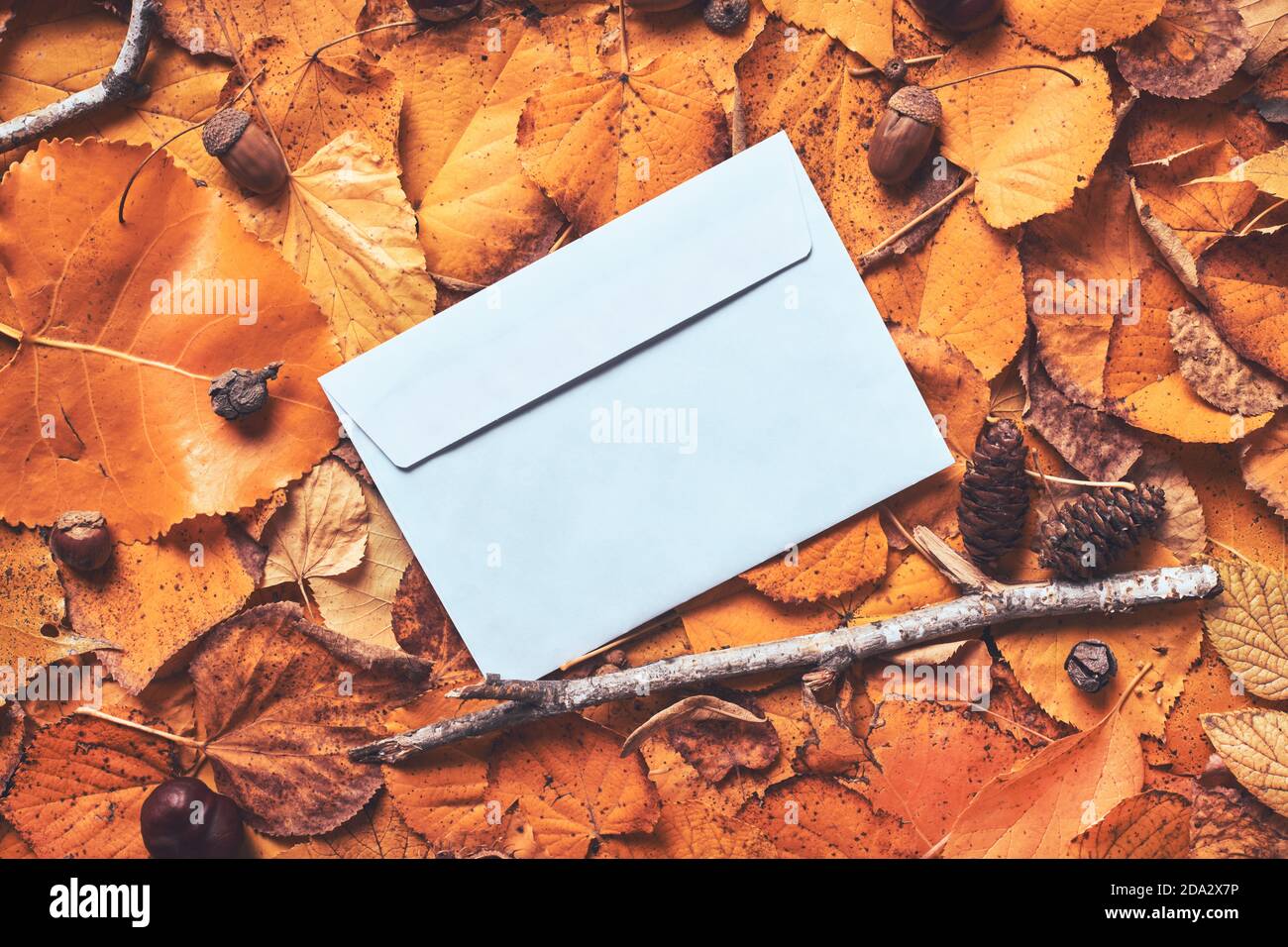 Layout autunnale creativo con busta e foglie asciutte, vista dall'alto piatta Foto Stock