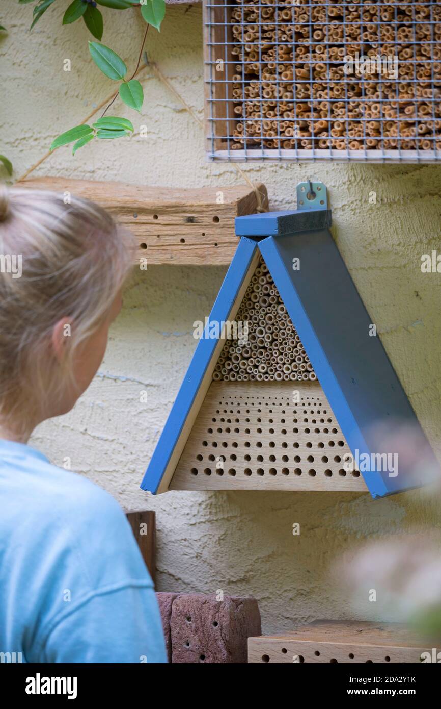 Giovane donna che osserva le api selvatiche agli aiuti di nidificazione, Germania Foto Stock