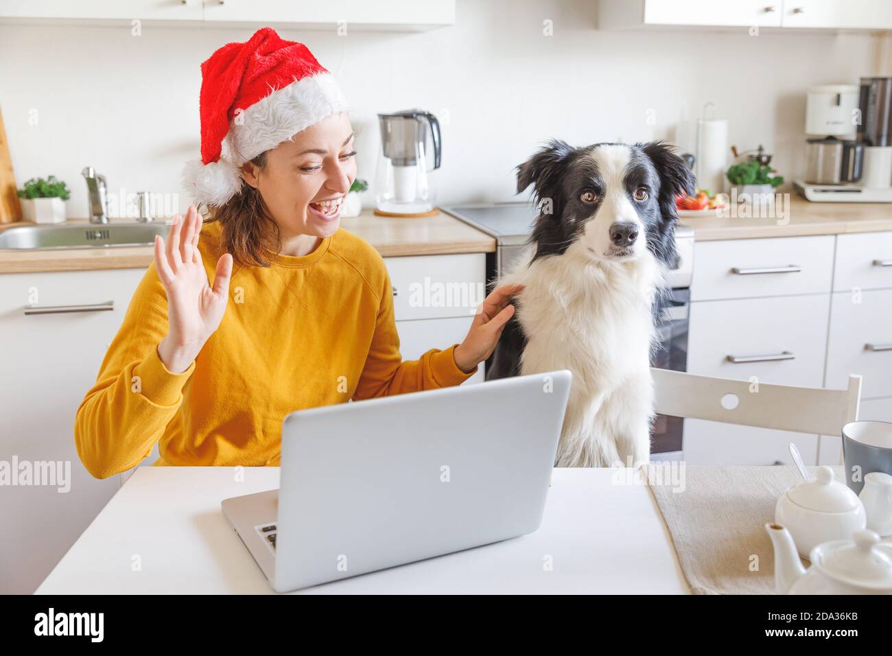 Cane e donna che indossano il cappello di Santa che sventola la mano videochiamando la famiglia tramite webcam. Ragazza con computer portatile che ha una chat virtuale di riunione sulle vacanze seduto in cucina a casa. Buon Natale e Capodanno nuovo normale Foto Stock