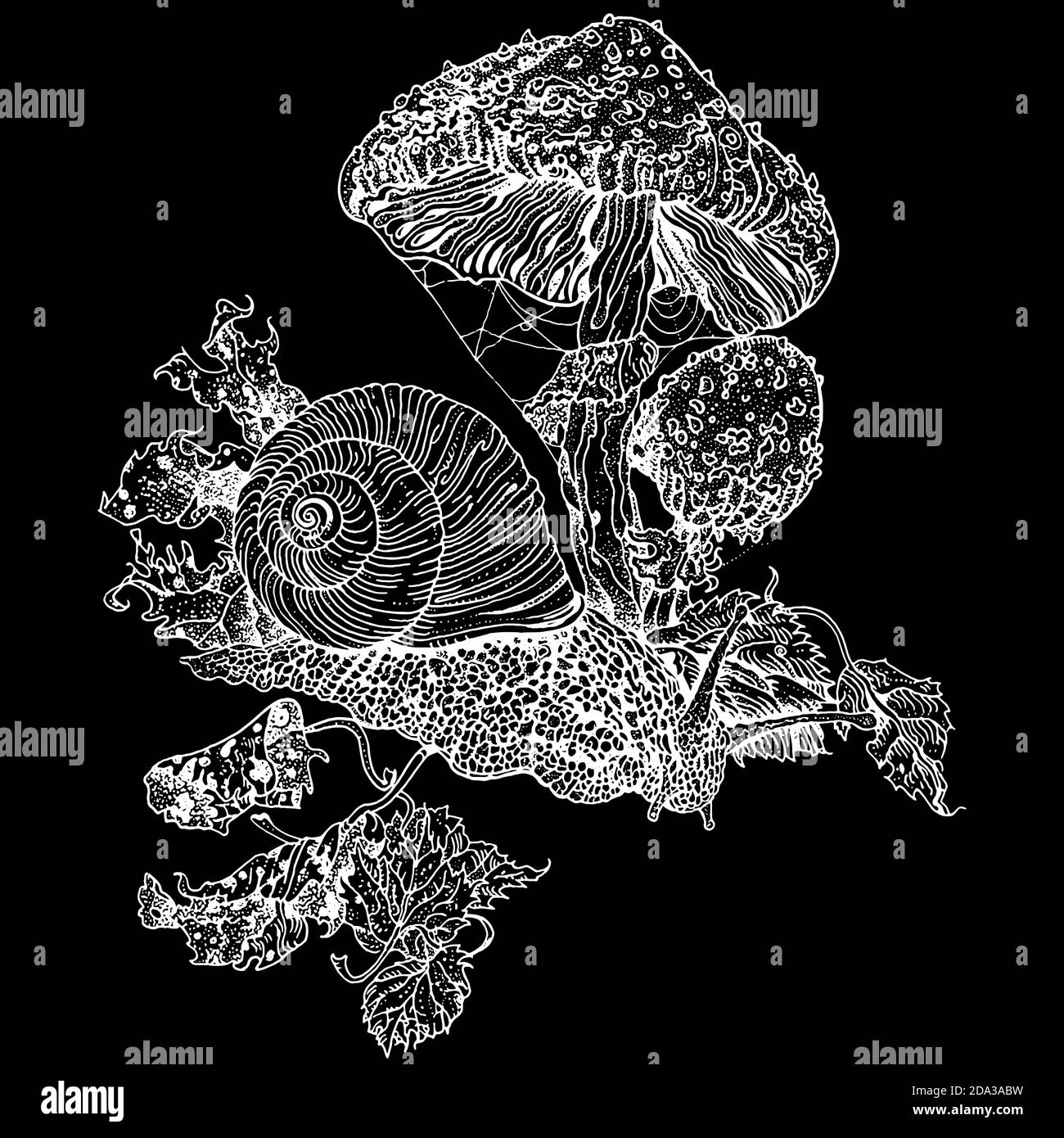 Lumaca e mosca agarica. Illustrazione dettagliata della penna di inchiostro disegnata a mano. Stampa T-shirt, tatuaggio bianco su nero. Illustrazione Vettoriale