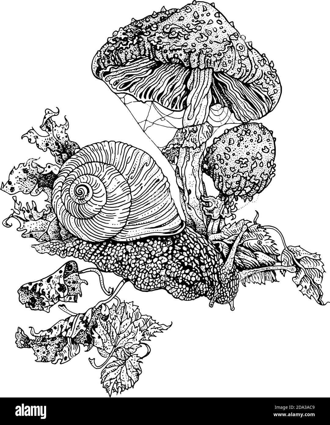 Lumaca e mosca agarica. Illustrazione dettagliata della penna di inchiostro disegnata a mano. Stampa T-shirt, tatuaggio in stile dotwork. Fungo velenoso Amanita Muscaria Illustrazione Vettoriale