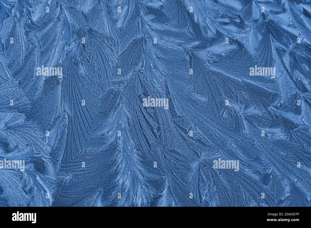 Frost disegno su vetro del finestrino, ornamento fiocco di neve dopo anomalia ghiaccio freddo. Vista dall'alto blu Foto Stock