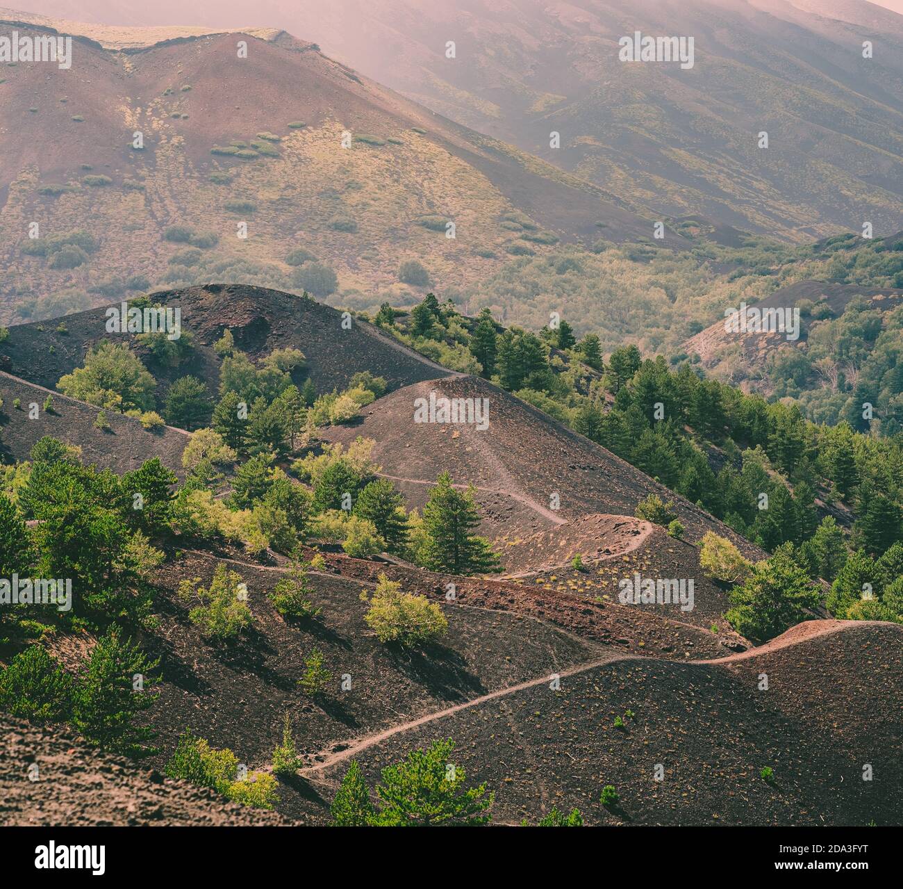 Paesaggio nel versante nord-est del vulcano Etna. Provincia di Catania, Sicilia, italia. Foto Stock