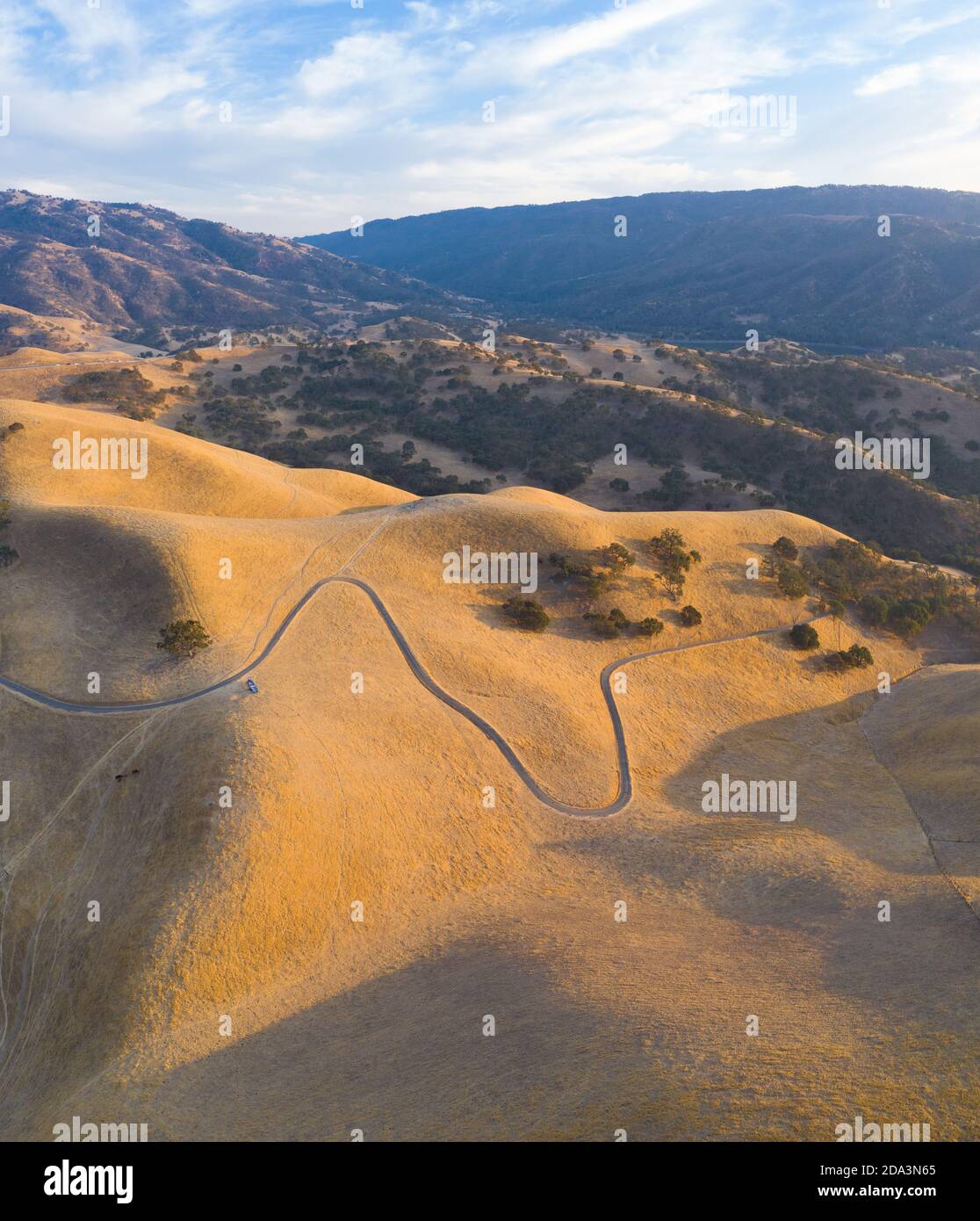 La luce del sole dorata splende sulle colline ondulate della California del Nord. Queste belle colline erose diventano verdi una volta che l'inverno porta pioggia stagionale. Foto Stock