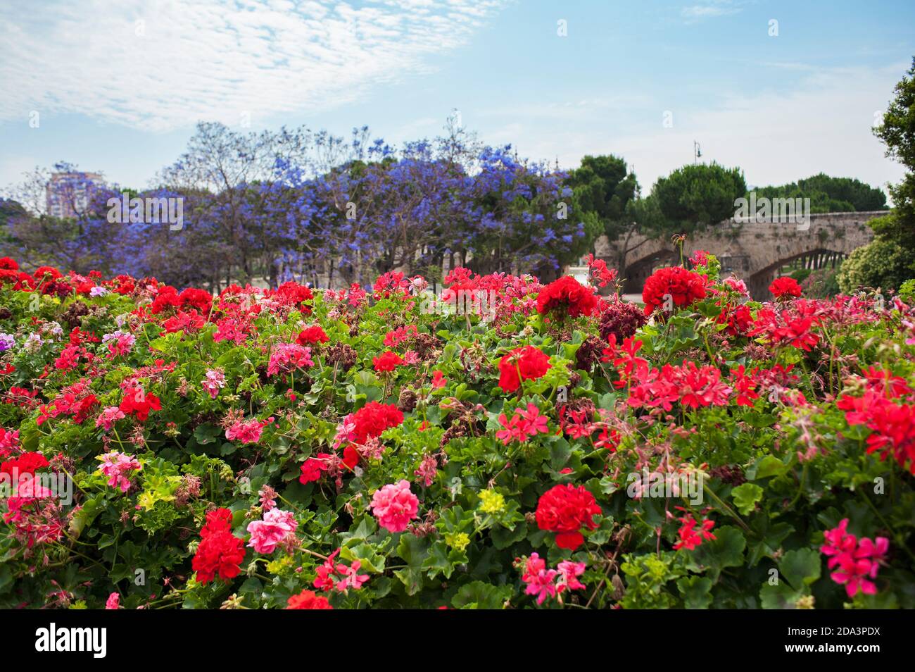 Pueste de las flores, Valencia, Spagna. Foto Stock
