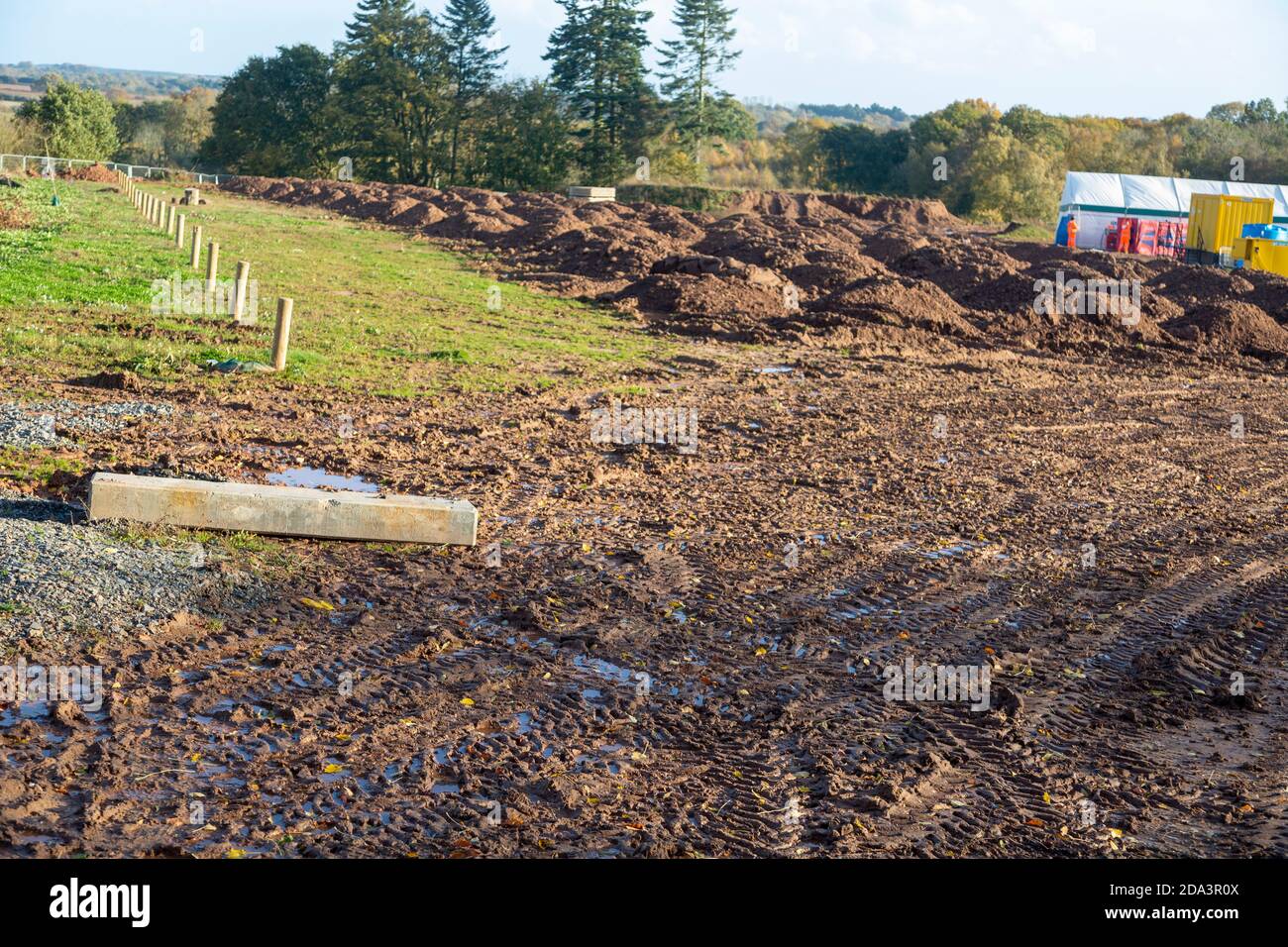 HS2 cantiere Crackley Woods, Kenilworth, Warwickshire, Inghilterra, Regno Unito, novembre 2020 area per il reimpianto dell'ecosistema boschivo Foto Stock