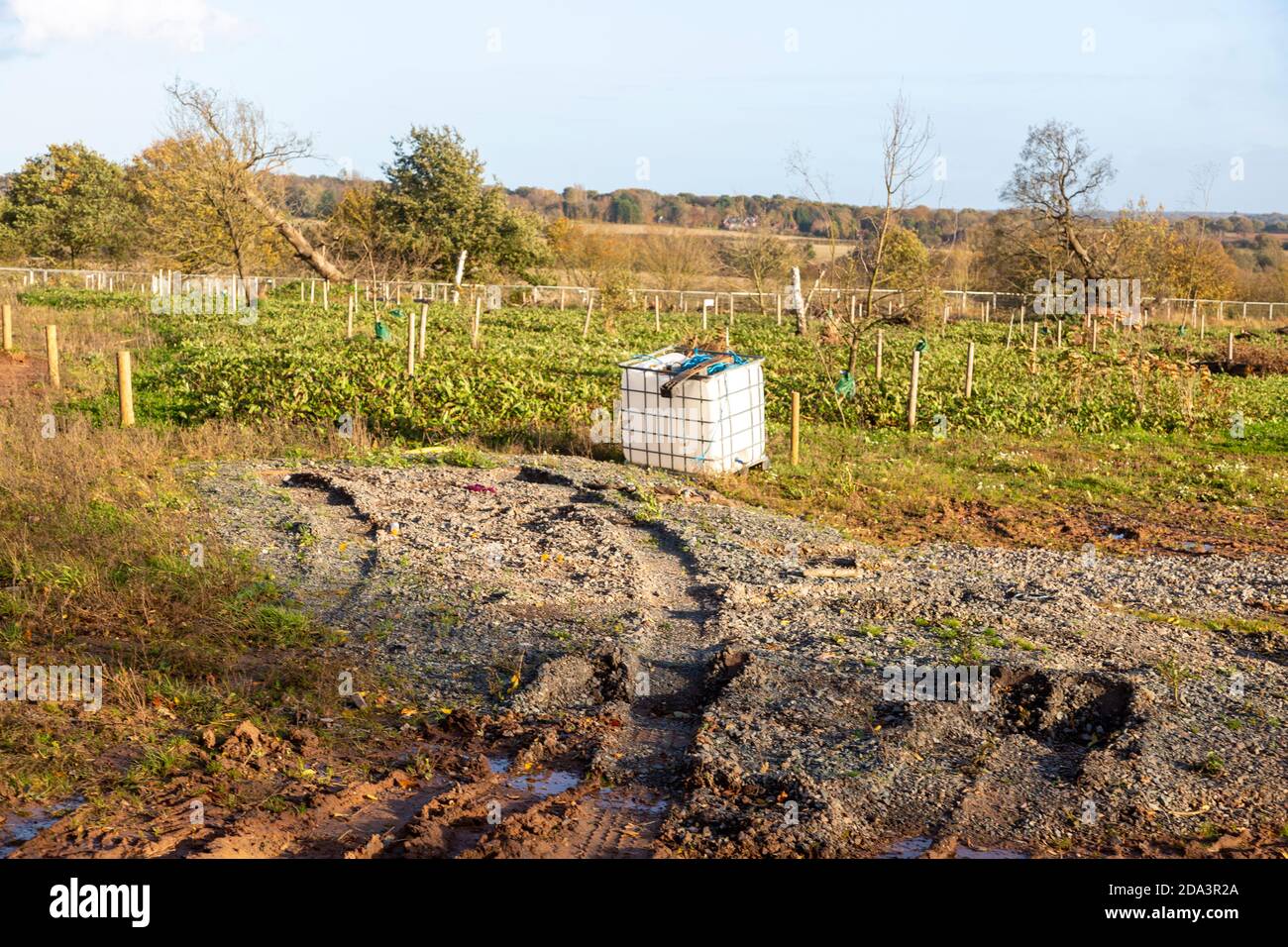 HS2 cantiere Crackley Woods, Kenilworth, Warwickshire, Inghilterra, Regno Unito, novembre 2020 area per il reimpianto dell'ecosistema boschivo Foto Stock