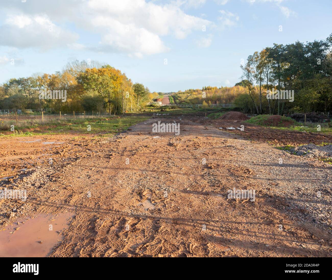 HS2 cantiere Crackley Woods, Kenilworth, Warwickshire, Inghilterra, Regno Unito, novembre 2020 percorso ferroviario di terra boschiva e vegetazione Foto Stock