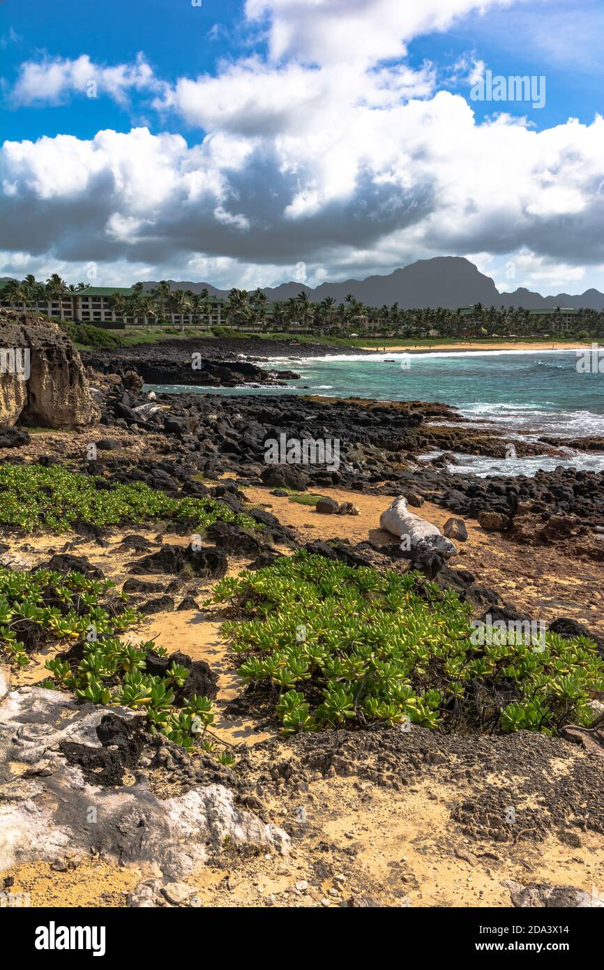 Vista della costa lavica lungo la baia di Keoniloa, Kauai, Hawaii Foto Stock