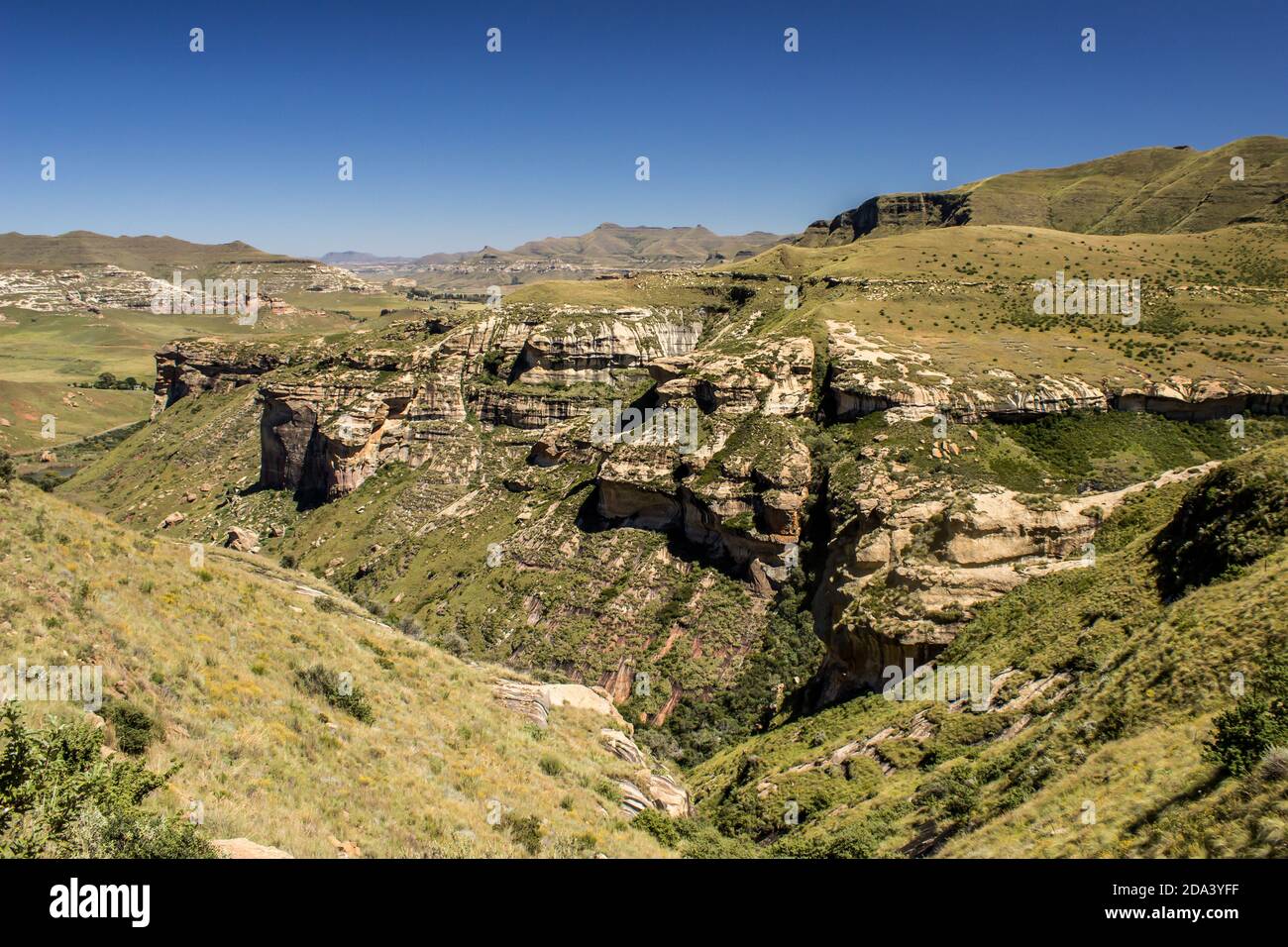 Un abisso intemperato attraverso le montagne di arenaria ricoperte di erba del Golden Gate Highlands National Park in Sud Africa, Foto Stock