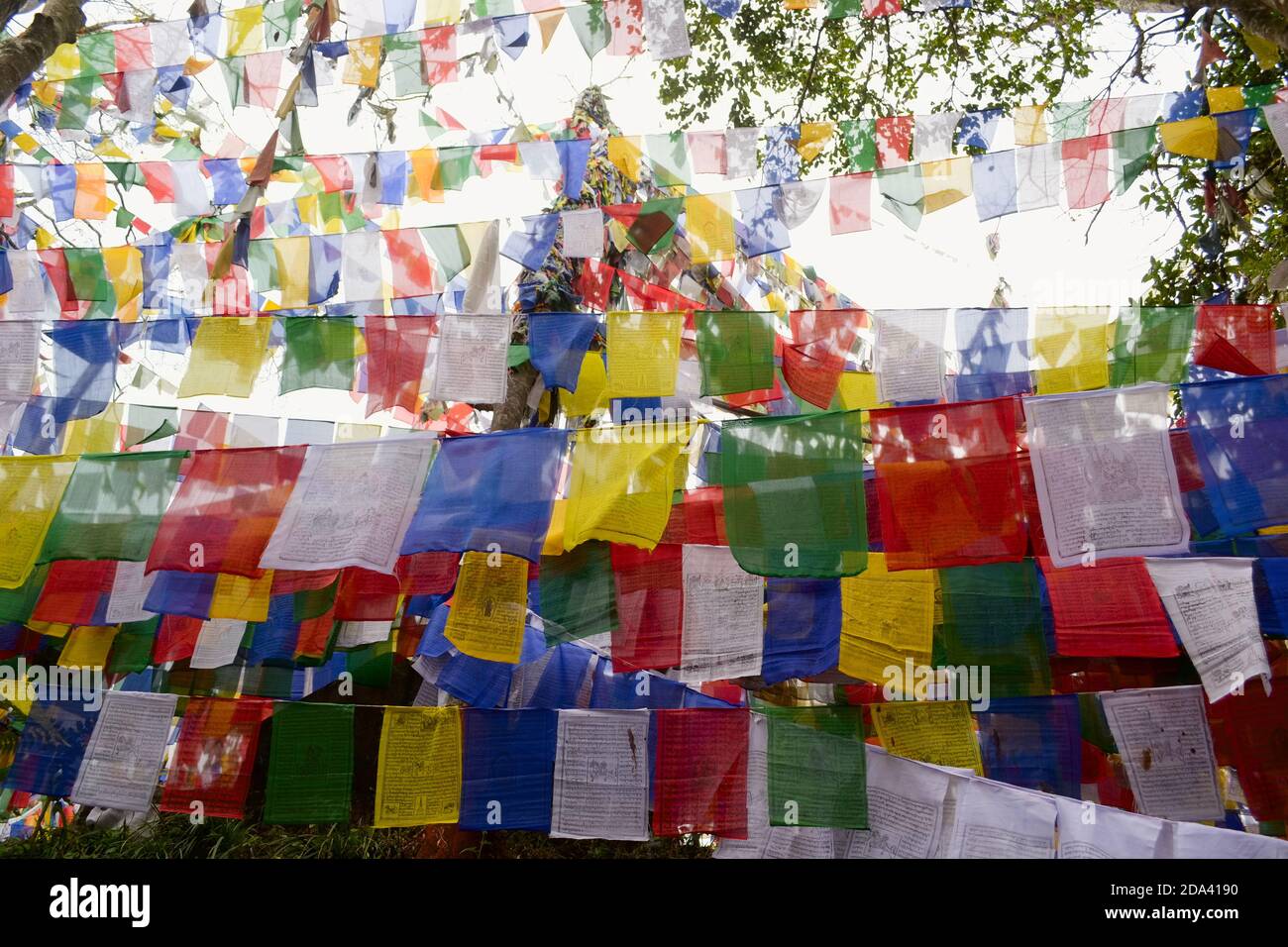Bandierine Tibetane Di Preghiera Fotografia Stock - Immagine di religione,  filosofia: 4780458