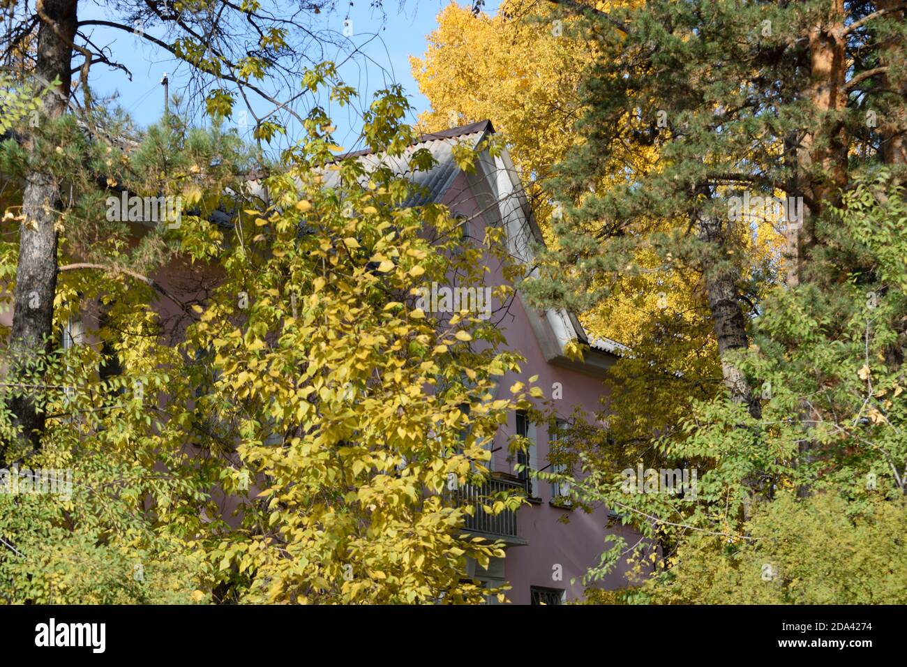 Grazioso edificio di appartamenti visto attraverso il Foliage Autunno in Angarsk, Russia Foto Stock