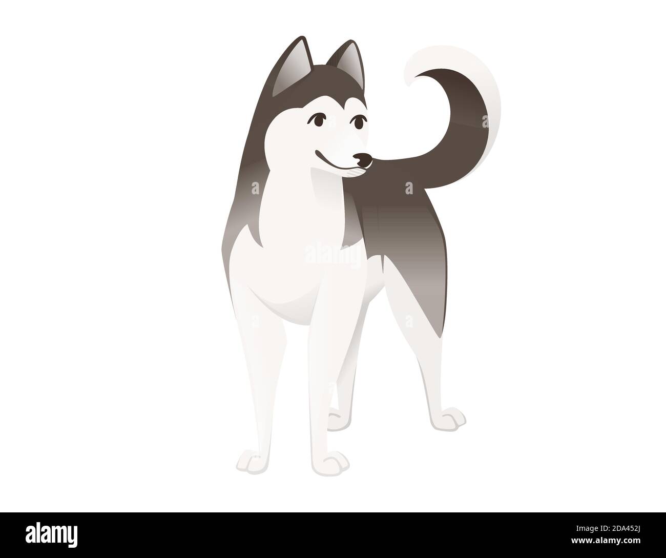 Carino cane domestico Siberian Husky Purebred cartoon animale disegno piatto illustrazione vettoriale Illustrazione Vettoriale