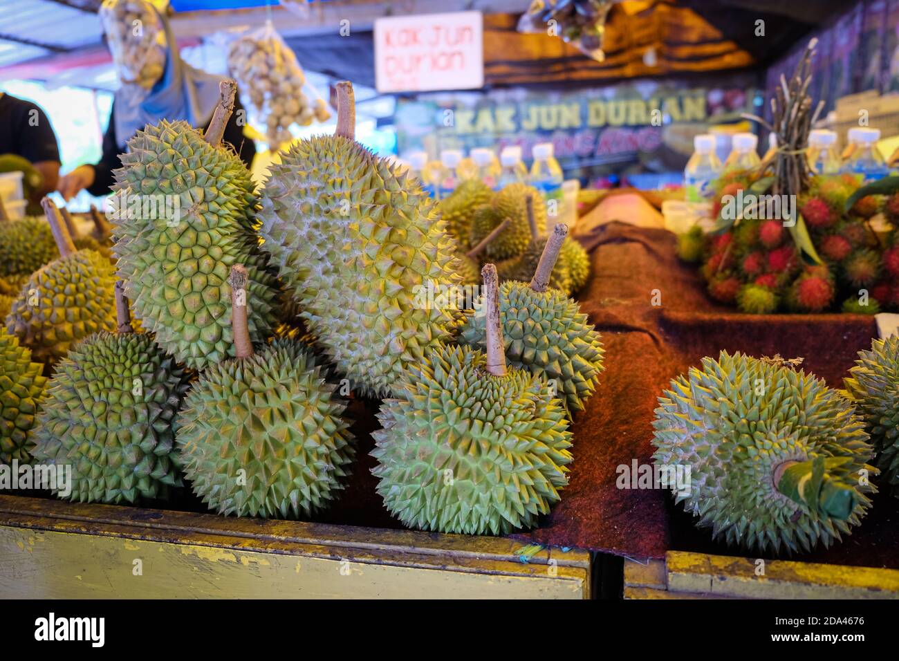 Colpo chiuso del re di Musang durian, conosciuto anche con il suo nome originale Raja Kunyit, ha una carne gialla profonda, punte larghe e smussate, un divario tra Th Foto Stock