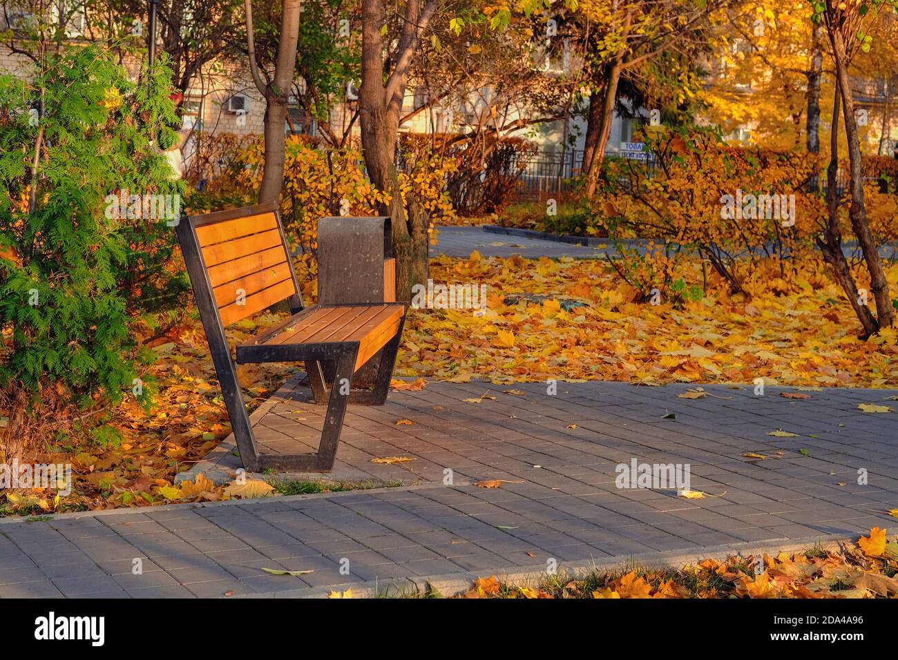 Mobili urbani moderni e robusti di legno duro. Panca vuota di legno e urna su sfondo luminoso autunno fogliame nel parco pubblico. Caduta delle foglie in città. Foto Stock