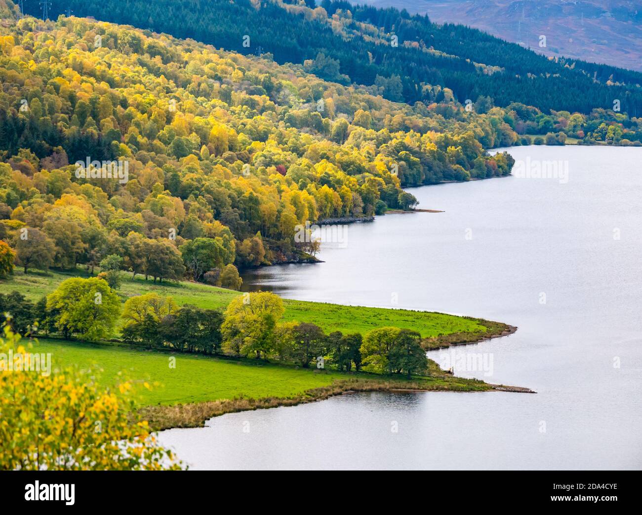 Vista sul lago di Loch Tummel dalla Queen's View con albero autunnale, Perthshire, Scozia, Regno Unito Foto Stock