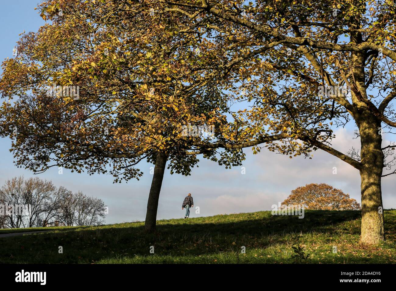 Autunno a Primrose Hill, Londra Foto Stock