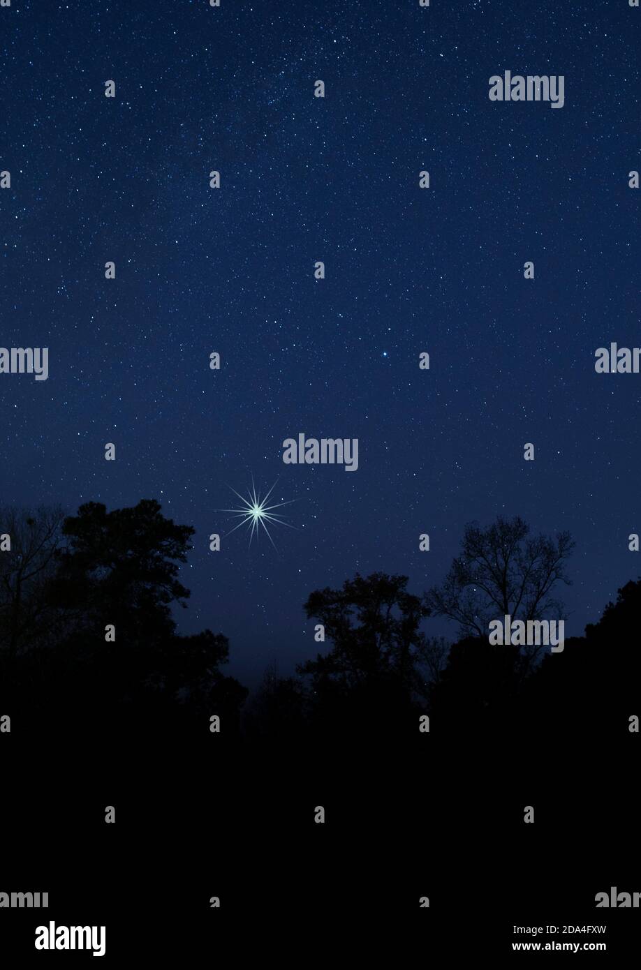 Stella luminosa in una notte limpida appena sopra un buio foresta Foto Stock