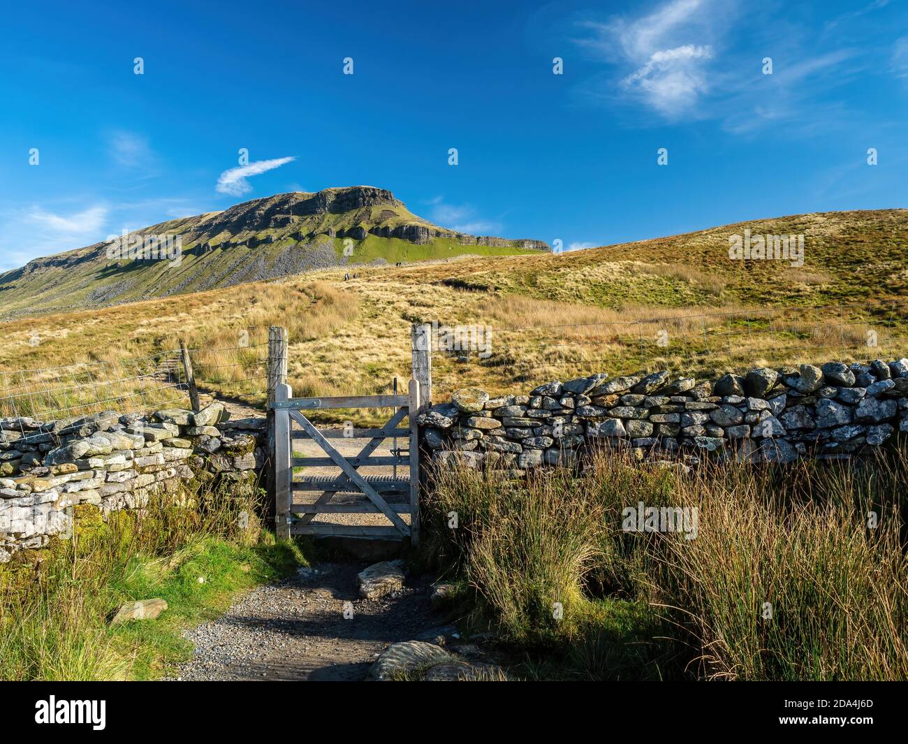 Pen-y-ghent montagna con sentiero e cancelli. A 2277 piedi è una delle tre vette delle montagne dello Yorkshire. Yorkshire Dales National Park Foto Stock