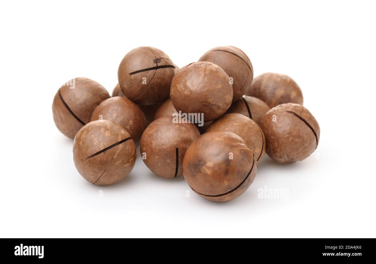Pila di noci di macadamia non sgusciate isolate su bianco Foto Stock