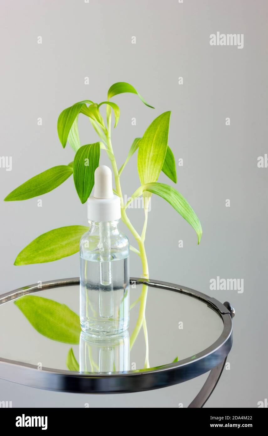 Flacone di prodotto con siero in pelle di vitamina con pipetta e pianta. Sfondo bianco, chiudere la vista frontale Foto Stock