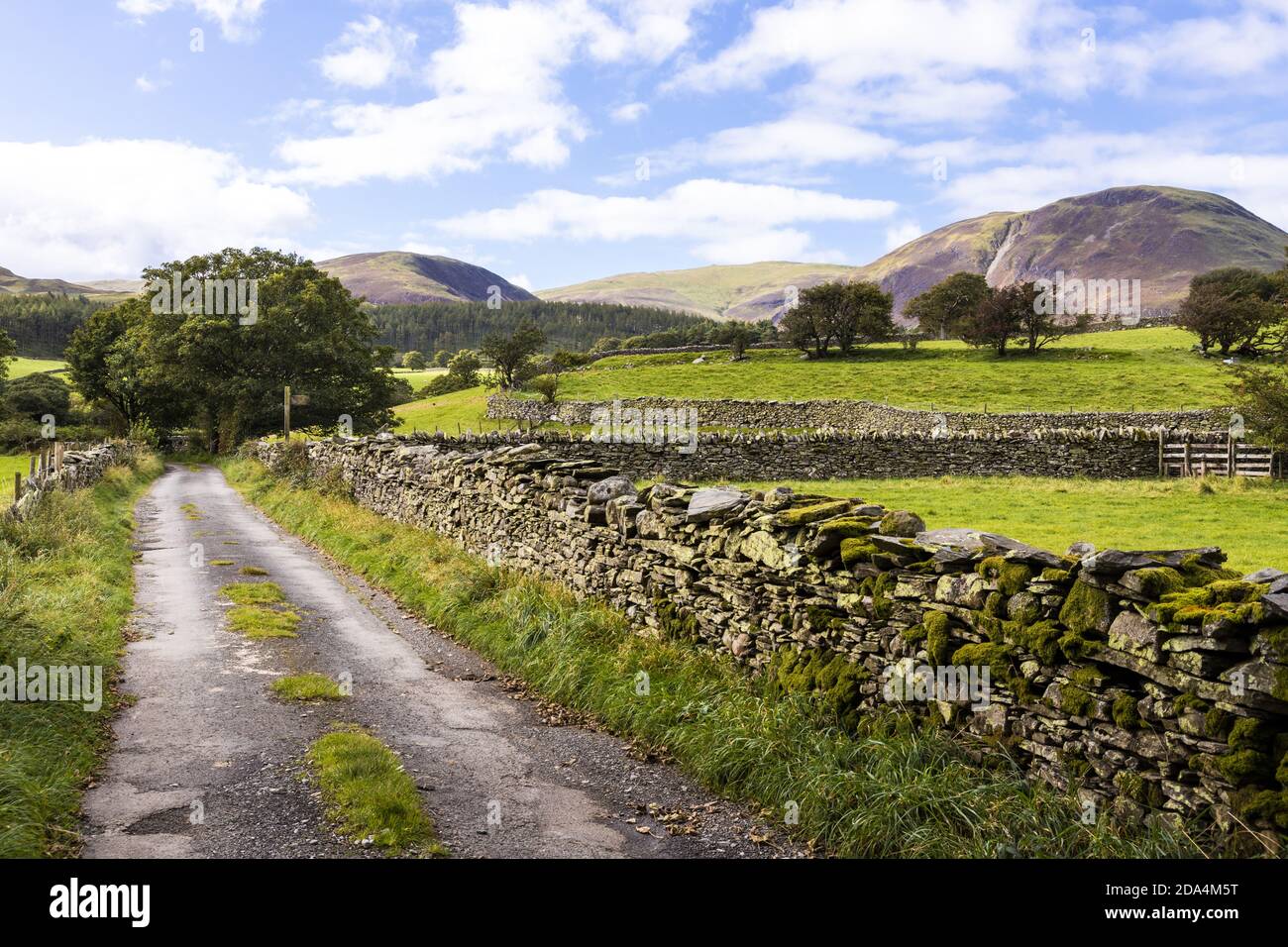 Un piccolo vicolo usato tra pareti di pietra a secco che si affaccia verso Loweswater cadde nel Distretto Inglese del Lago vicino a Loweswater, Cumbria UK Foto Stock