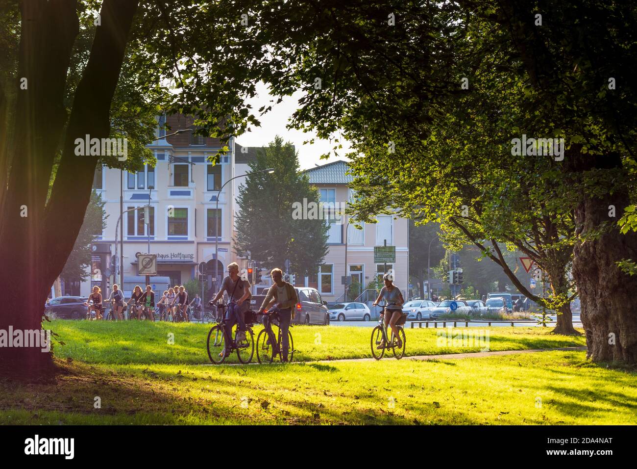Lübeck: Ciclisti, alberi, prati, Ostsee (Mar Baltico), Schleswig-Holstein, Germania Foto Stock