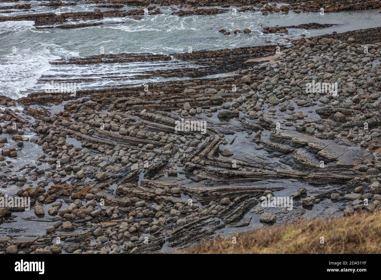 Millook Haven mostra il miglior esempio di difetti di chevron nelle isole britanniche. Foto Stock