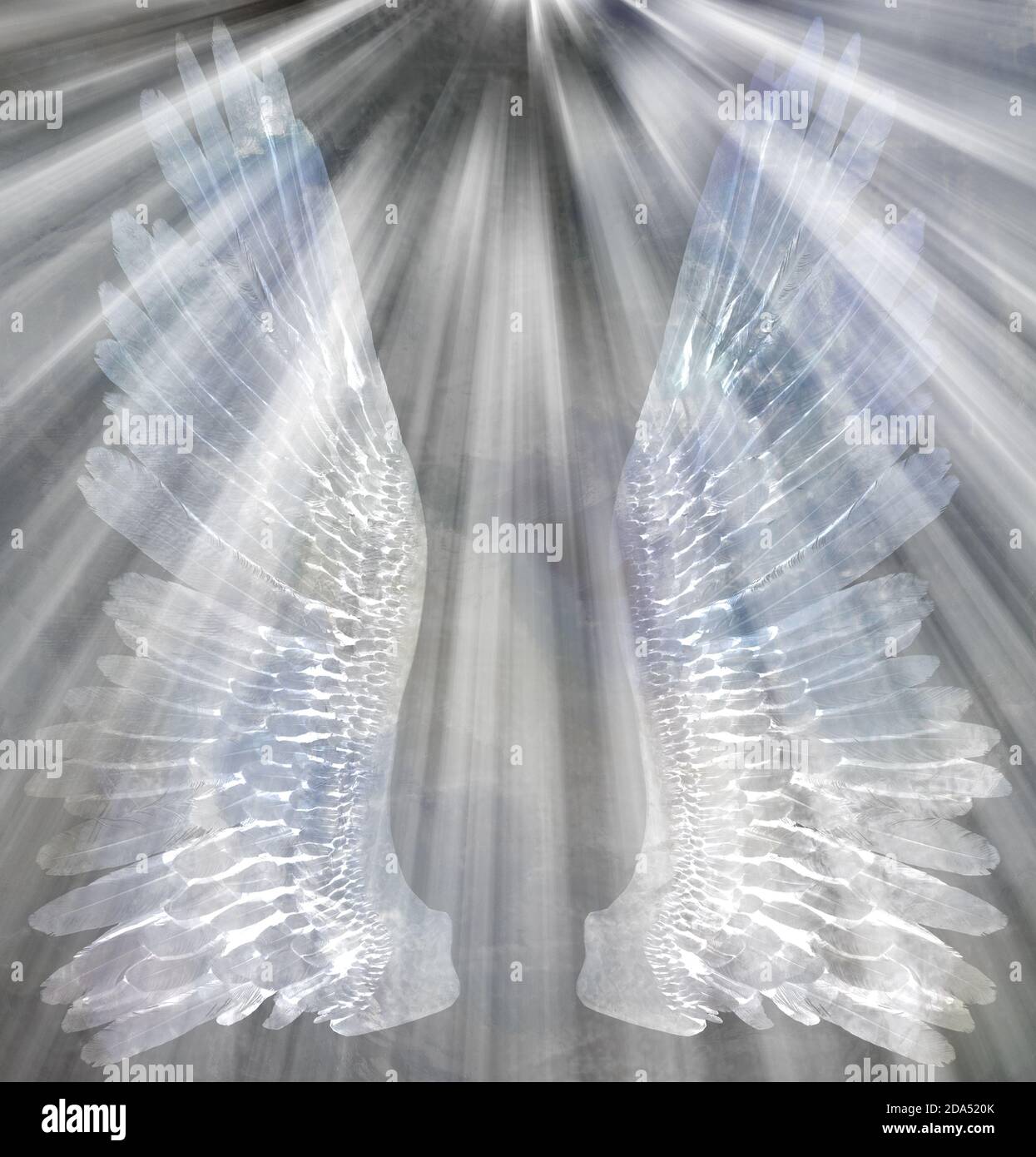 Angeli ali e raggi di luce. Rendering 3D Foto Stock
