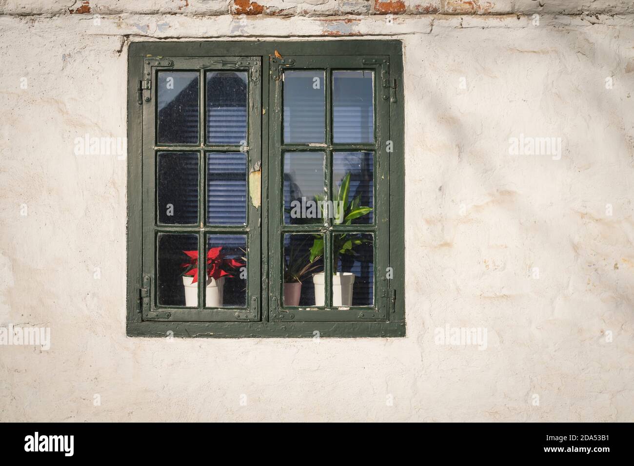 finestra di una casa storica con fiori Foto Stock
